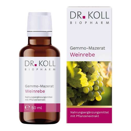 Gemmo-Mazerat Weinrebe Dr.Koll Vitis vinifera Tro. - 1