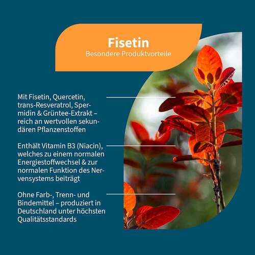 Fisetin + Quercetin+Spermidin+Vitamin B3 vegan Kapseln  - 2
