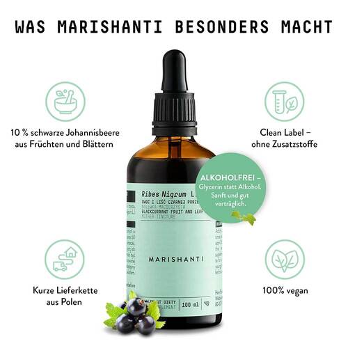 Schwarze Johannisbeere Extrakt Tropfen alkoholfrei - 4
