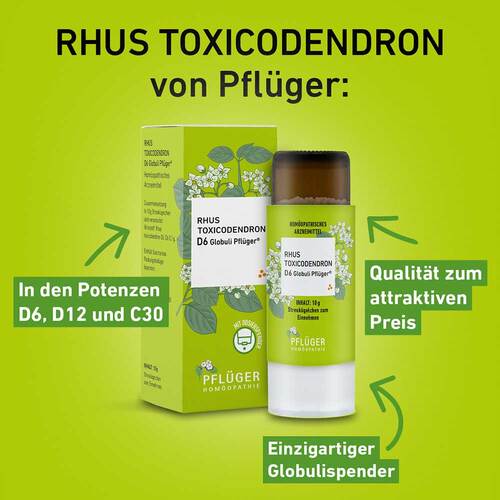 Rhus Toxicodendronicodendron D 6 Globuli Pfl&uuml;ger Globulisp. - 2