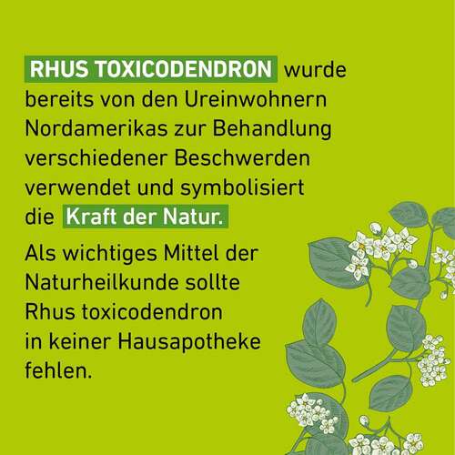 Rhus Toxicodendronicodendron C 30 Globuli Pfl&uuml;ger Globulisp. - 4