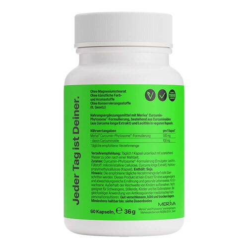 Curcumin Phytosome Kapseln - 2