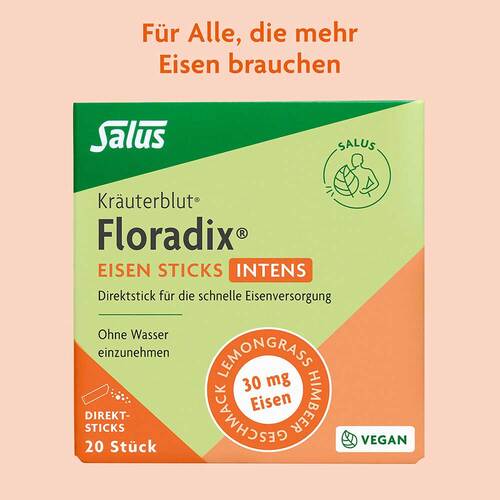Floradix Eisen Sticks intens Pulver - 7